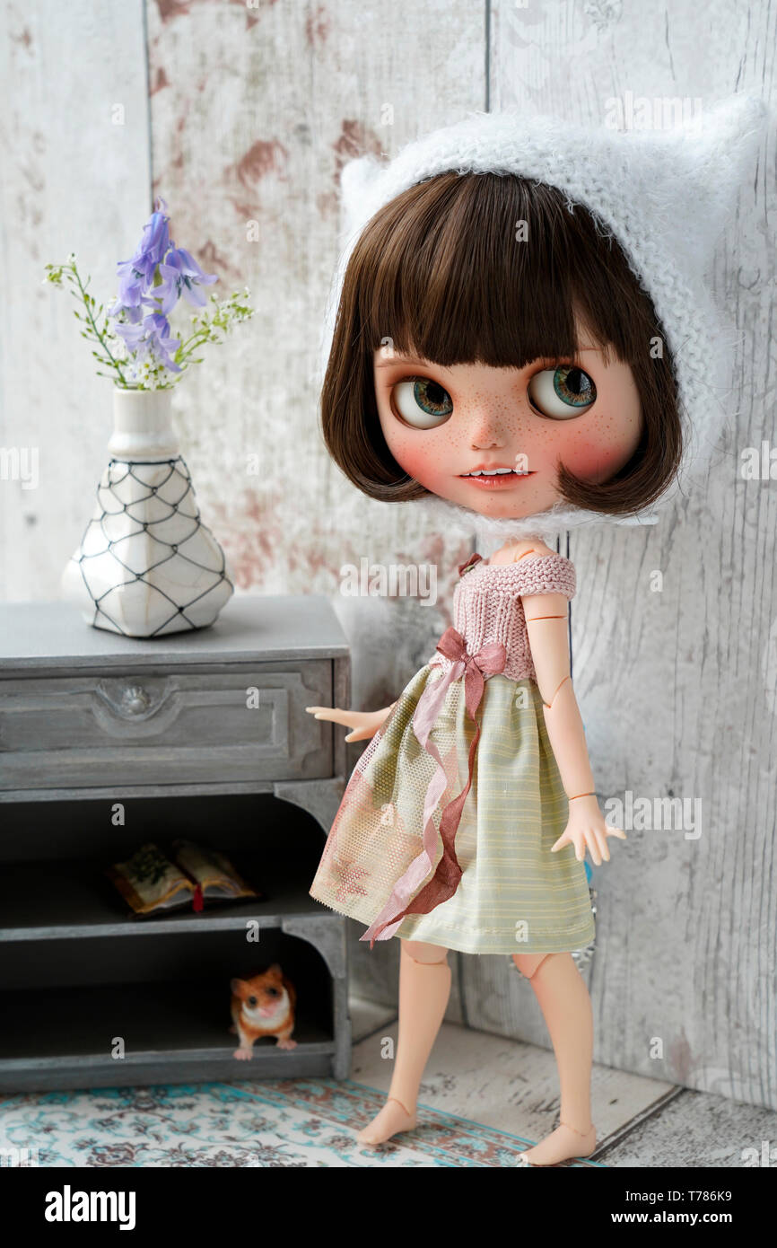 Hermosa muñeca una casa de muñecas, muñecas Blythe personalizada Fotografía  de stock - Alamy