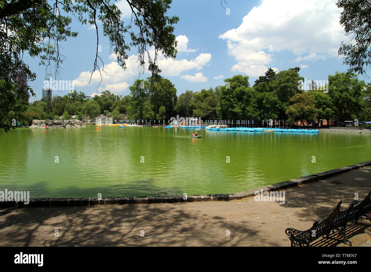 Bosque de Chapultepec. El parque de Chapultepec, Ciudad de México