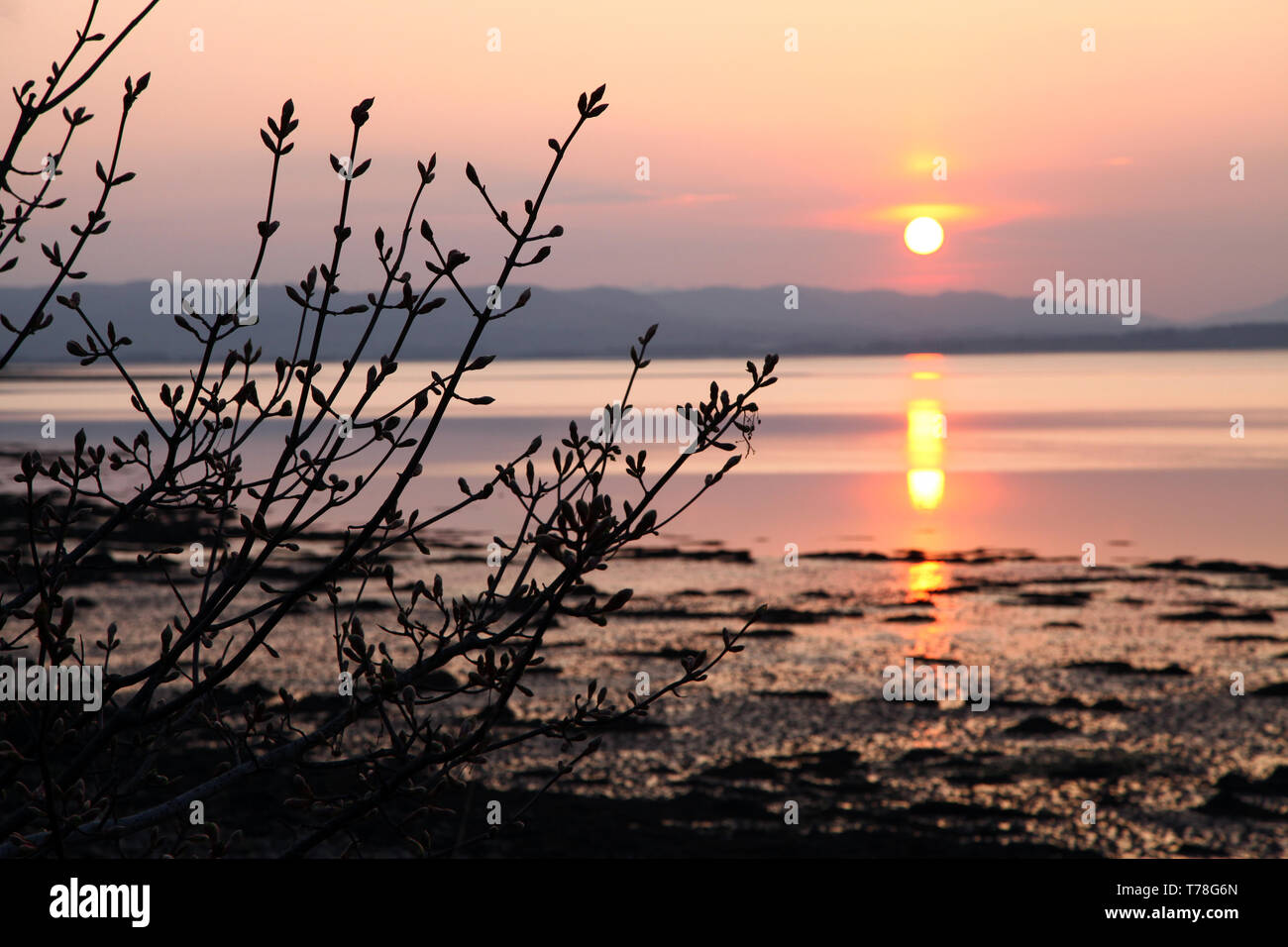 Hermoso atardecer dorado con reflejos del sol en aguas tranquilas Foto de stock