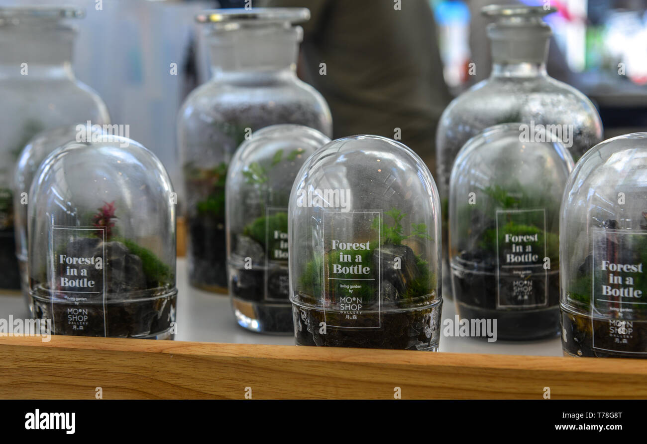 George Town, Malasia - 3 Abr, 2019. Venta de plantas pequeñas en botellas  de vidrio (el bosque en una botella) en la tienda en la ciudad de George,  Penang, Malasia Fotografía de stock - Alamy