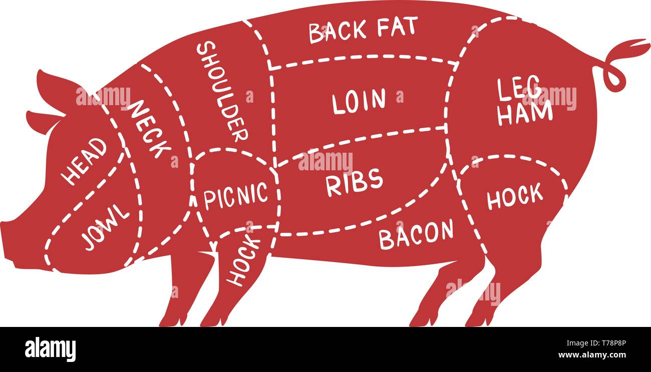 Los cortes de carne de cerdo. Carne de cerdo, carnicería ilustración vectorial Ilustración del Vector