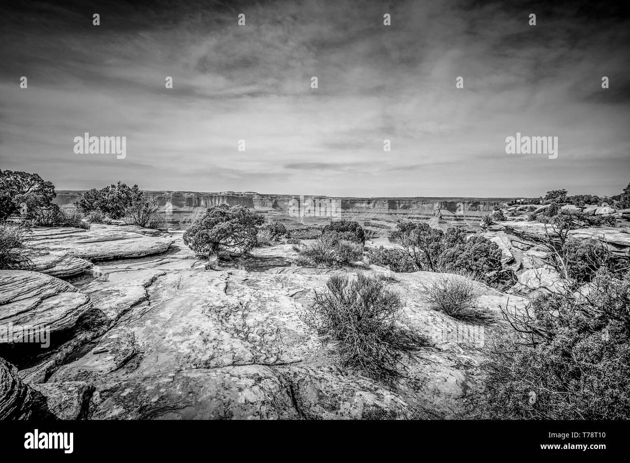 Un paisaje impresionante y vegetación en el desierto de Utah Foto de stock