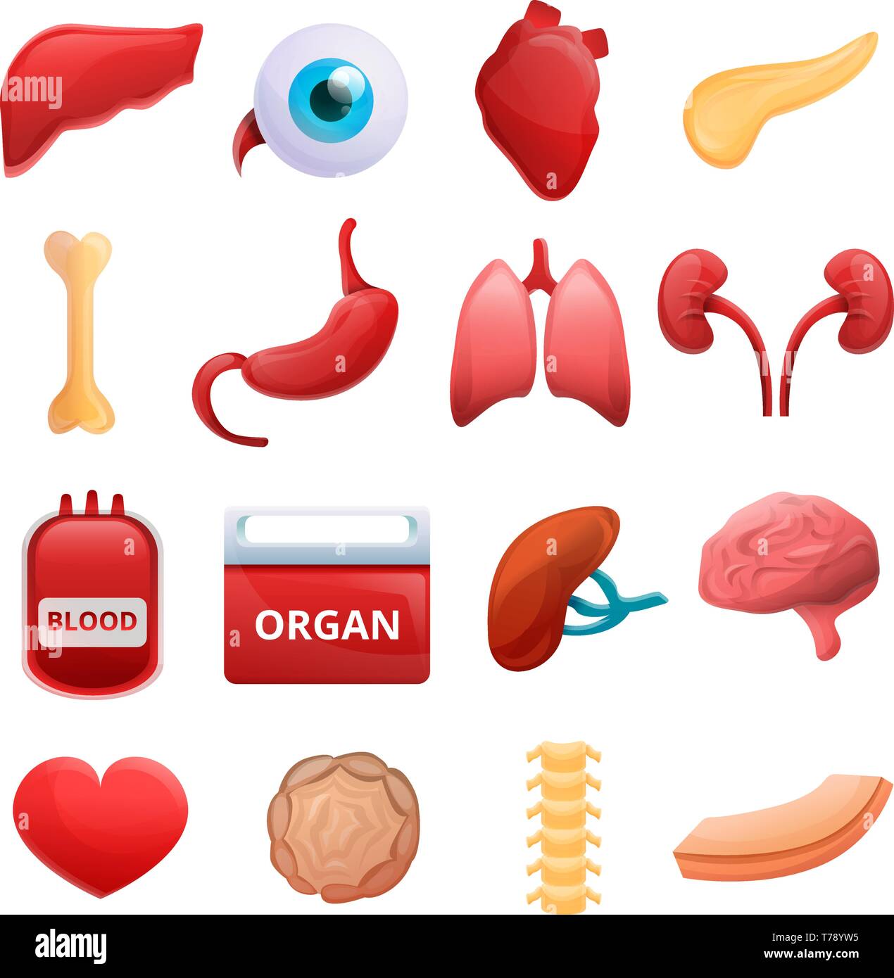 Iconos de donar sus órganos. Conjunto de dibujos animados de donar órganos vector iconos para