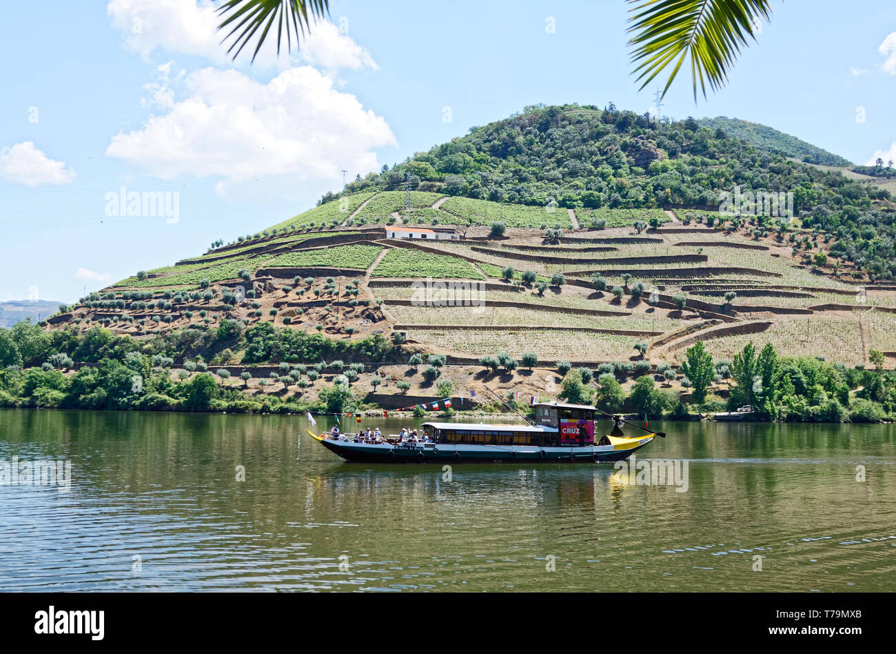 Tourboat, Ribera del Duero, turismo, colinas, viñedos, comunidad rural, pueblo, Europa, Portugal, primavera, horizontal Foto de stock
