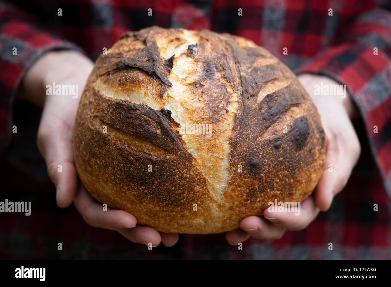 MAYNOOTH, Ontario, Canadá - 29 de abril de 2019: Una señora tiene una hogaza de pan de masa fermentada, horneados caseros en un cookstove madera. ( Ryan Carter ) Foto de stock