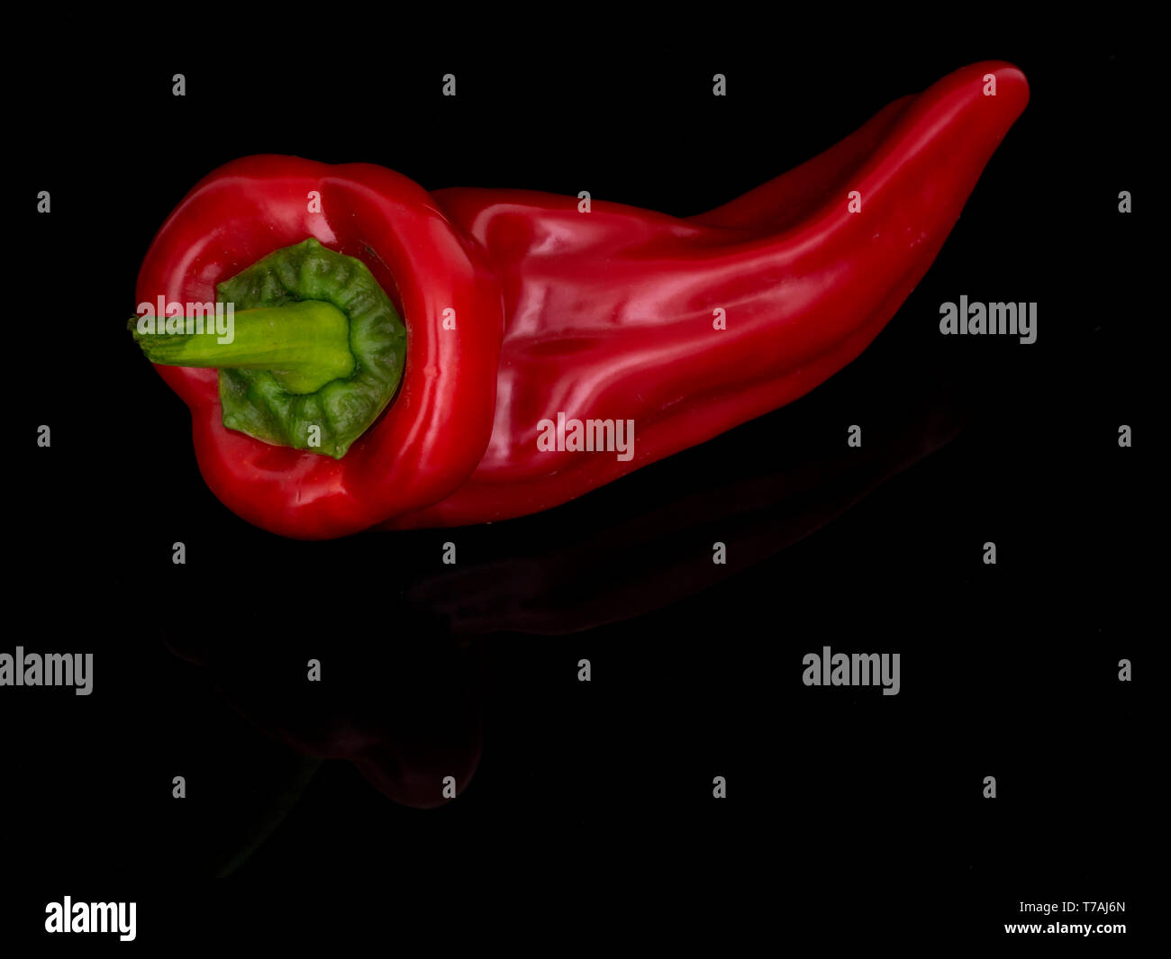 Pimiento Cubanelle rojo sobre fondo negro brillante, contra los negros