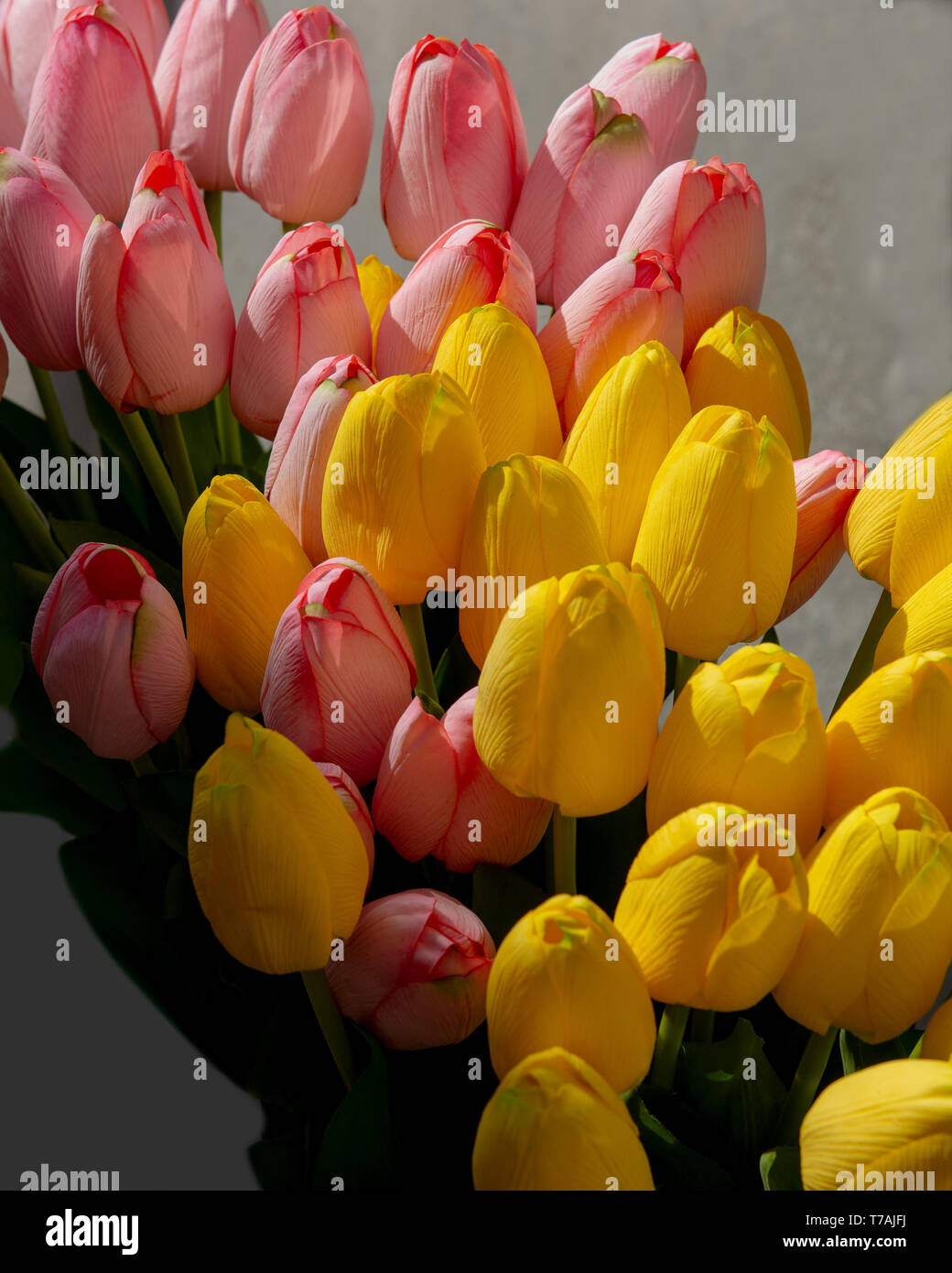 Tulipanes de plástico amarillo y rosa feliz Flores festivas antecedentes y  copys espacio ideal para la primavera y Pascua Fotografía de stock - Alamy