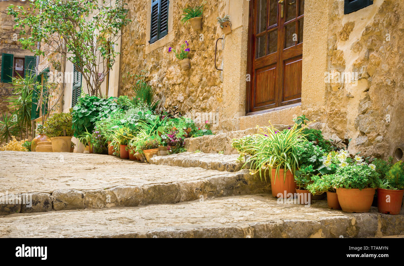 Plantas en macetas en la romántica calle Valldemossa Foto de stock