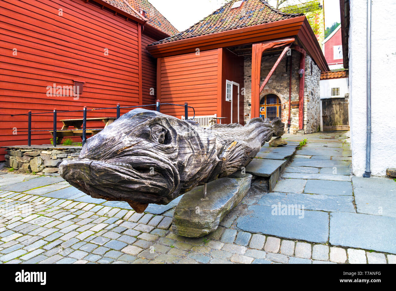 Escultura de madera tallada de un bacalao en la histórica zona hanseática de Bryggen, Bergen, Noruega Foto de stock