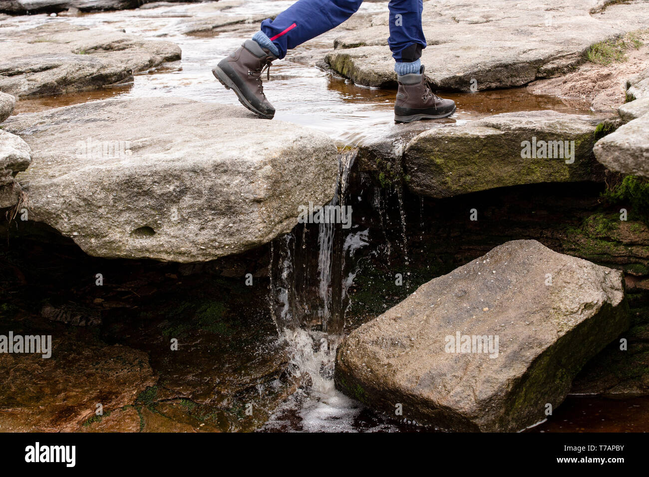 Una hembra walker sobre Stepping Stones en Kinder Scout en el Peak District de Derbyshire, Reino Unido Foto de stock