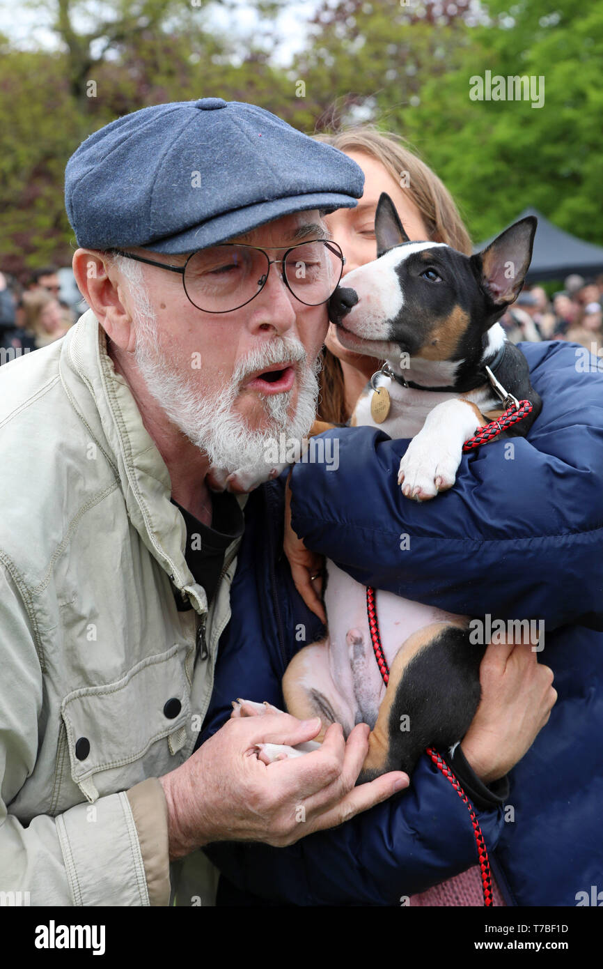 Londres, Reino Unido. 5 de mayo de 2019. Oscar el inglés Bull Terrier cachorro gracias juez, el actor Peter Egan, para votar él más hermoso cachorro con una manita en la materia a todos los Perros Bark Off caridad dog show, Hampstead Heath, Londres, Inglaterra. Bonitos perros tomó parte en varias categorías de esta exposición canina anual el cual es dirigido por la caridad que casas y perros rehomes en Londres y encuentra hogares para perros desde el extranjero. Los perros compitieron para ser más hermoso cachorro, mejor rescate y mucho más. Más información en www.alldogsmatter.co.uk Crédito: Paul Brown/Alamy Live News Foto de stock