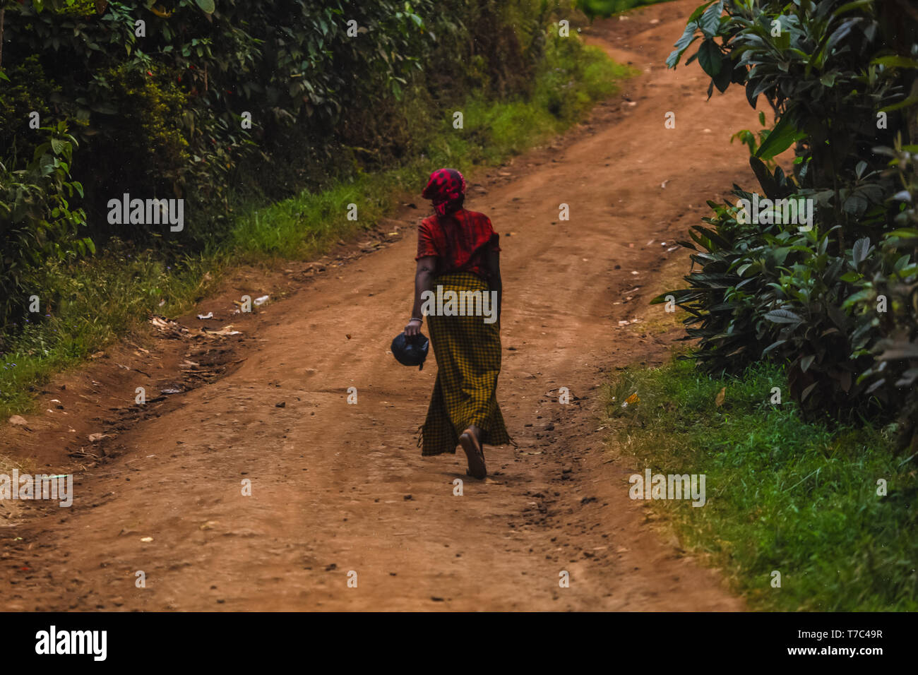 Mujer caminando en la carretera por si misma, sosteniendo en la mano un bolso. Llevar pañuelo rojo en la cabeza, falda larga de color amarillo. Naturaleza salvaje fuera de la ciudad, verde Foto de stock