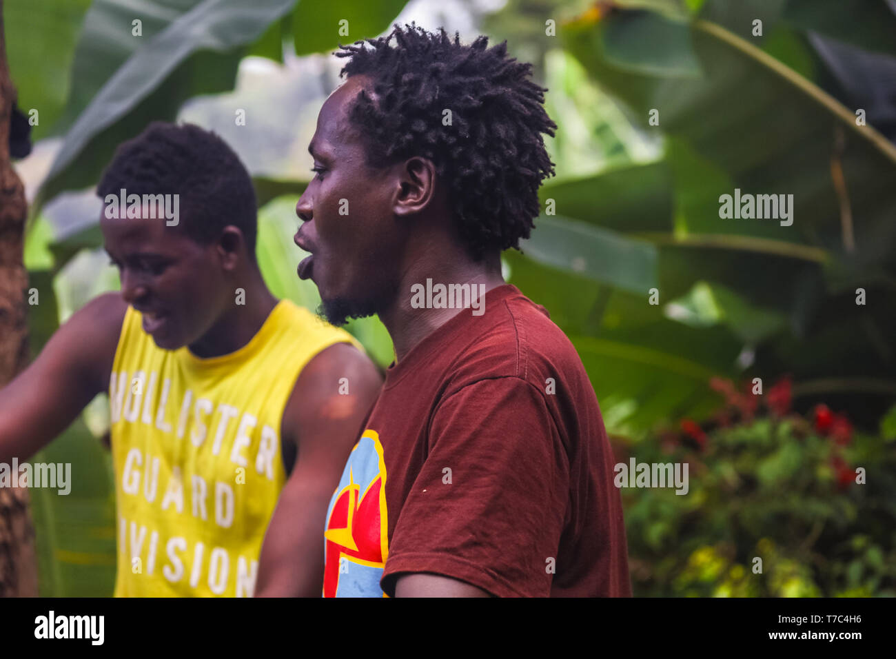 Dos hombres en camisas brillantes en las junglas permanente entre las altas palmeras verdes, cantando canciones tradicionales. Rizado cabello negro, piel negra. Tener diversión Foto de stock