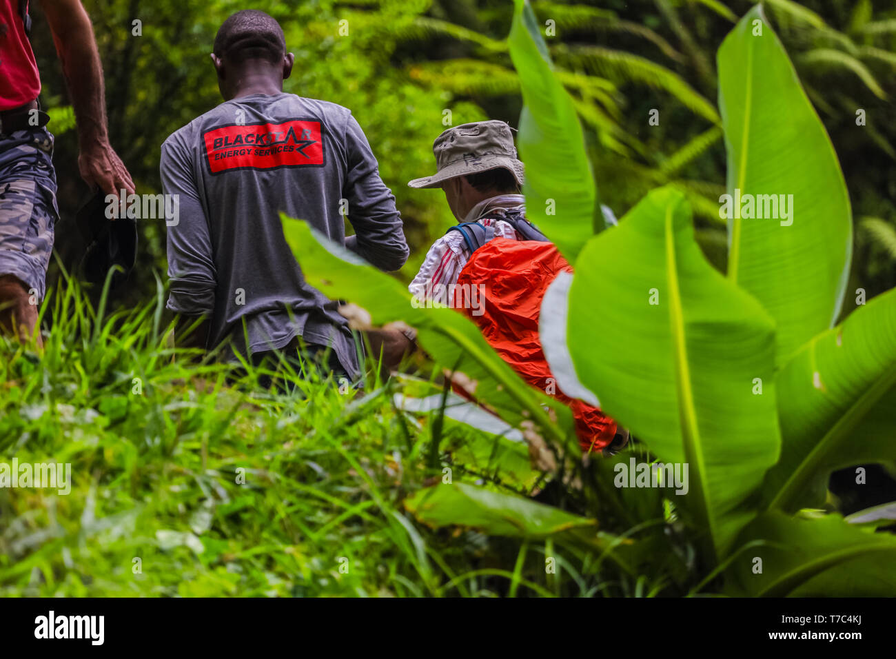 Viajando alrededor de África, conocer a la gente local. Caminando por la selva, subiendo a la montaña, degustar diferentes comidas. Maravillosas vistas de la naturaleza verde Foto de stock