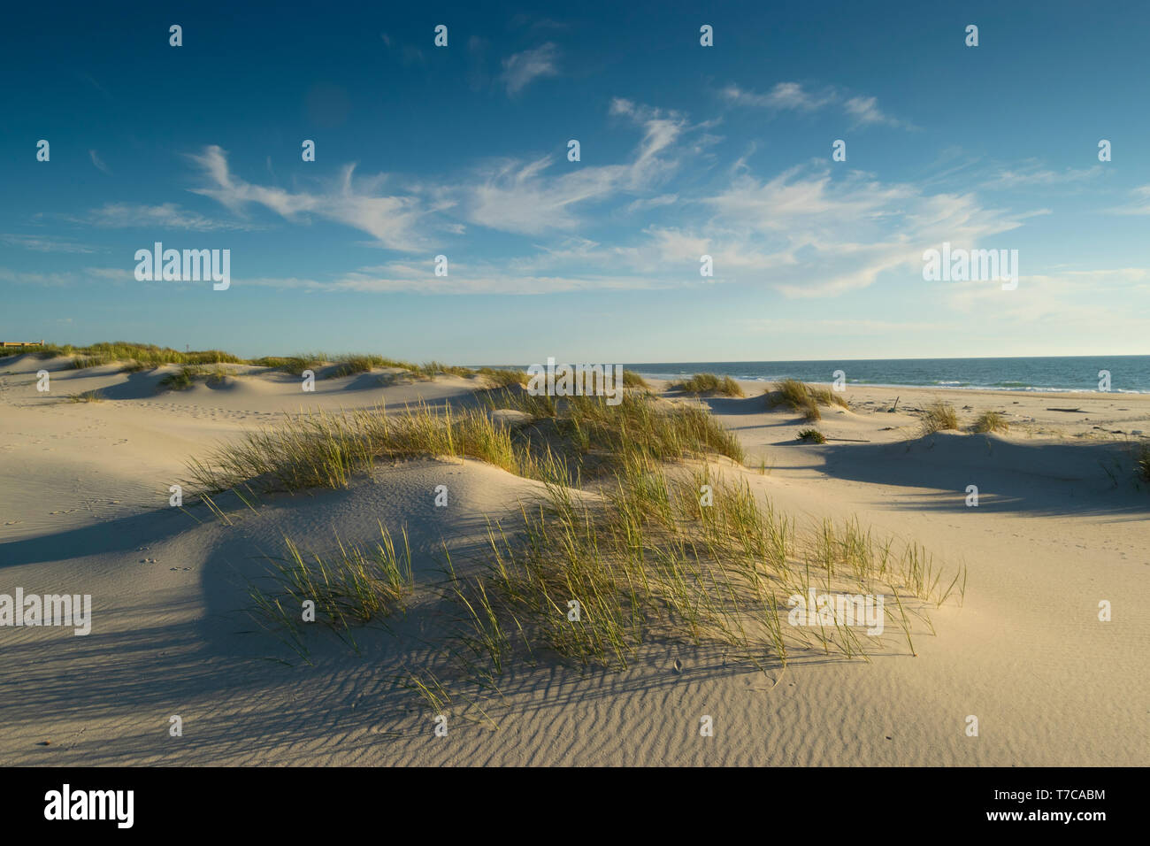 Reserva natural de las dunas de sao jacinto fotografías e imágenes de alta  resolución - Alamy