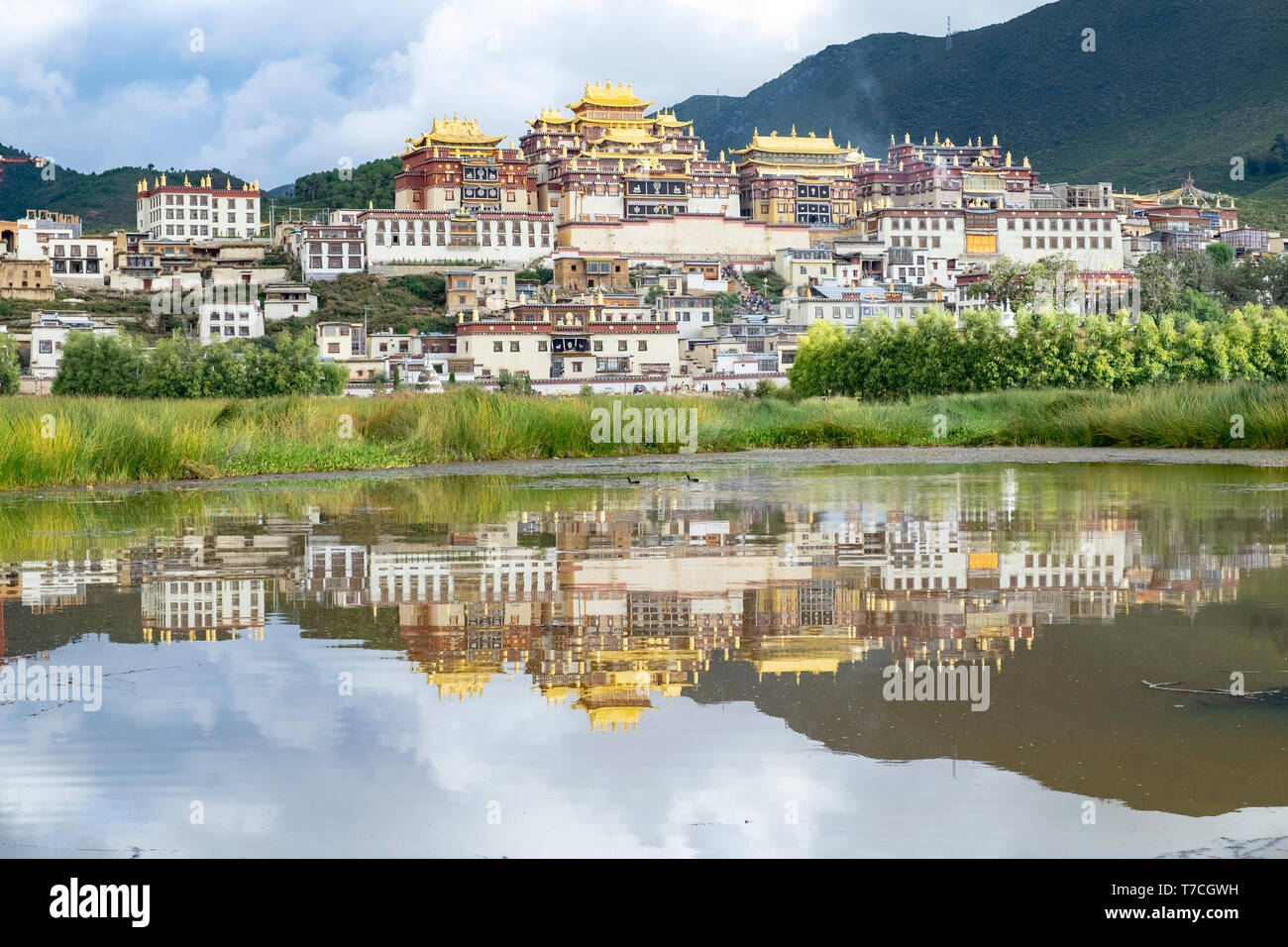 Monasterio budista tibetano Songzanlin reflejado en el lago sagrado, el Shangri-La, provincia de Yunnan, China Foto de stock