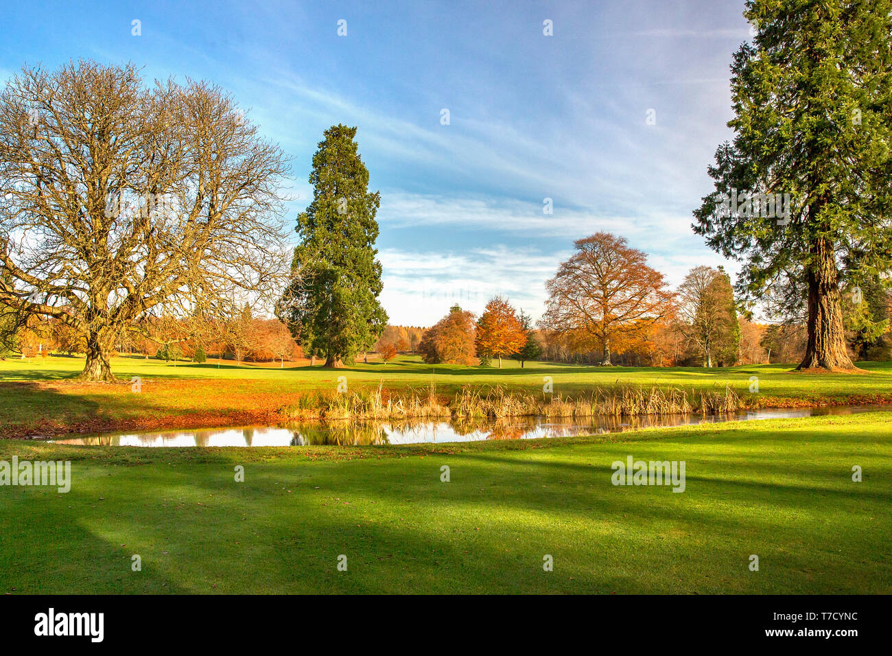 Temprano en la mañana de otoño Rushmore Park Golf Club, Wiltshire, Reino Unido. Foto de stock