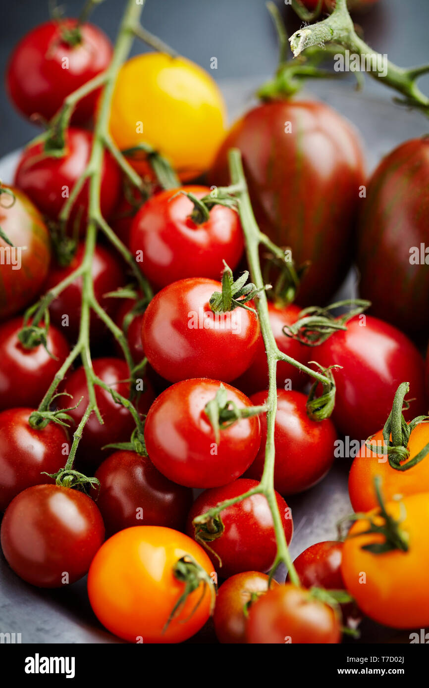 Mezcla de diferentes tipos de tomate. Foto de stock