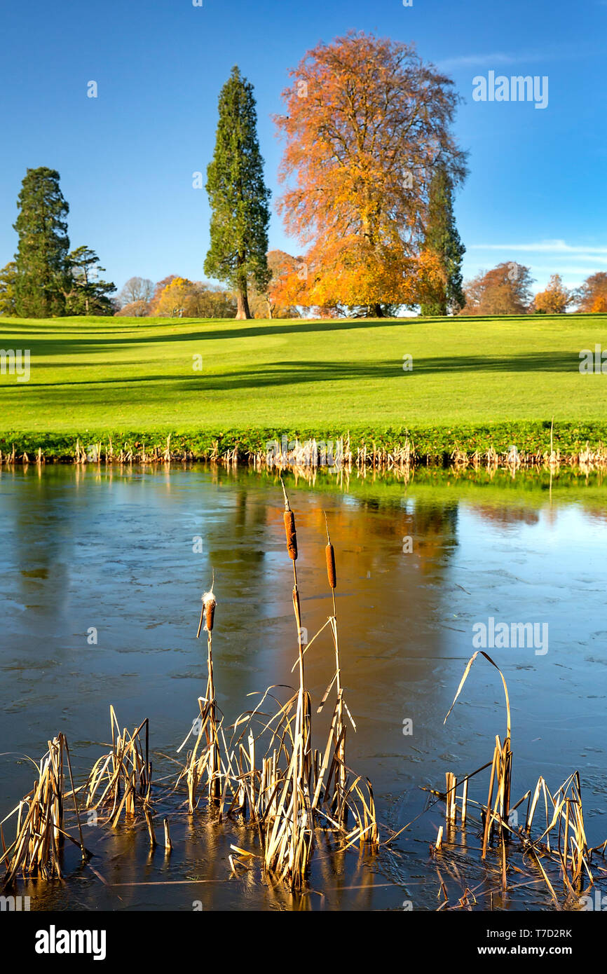 Escena de otoño en la Rushmore Park Golf Club, Wiltshire, UK Foto de stock