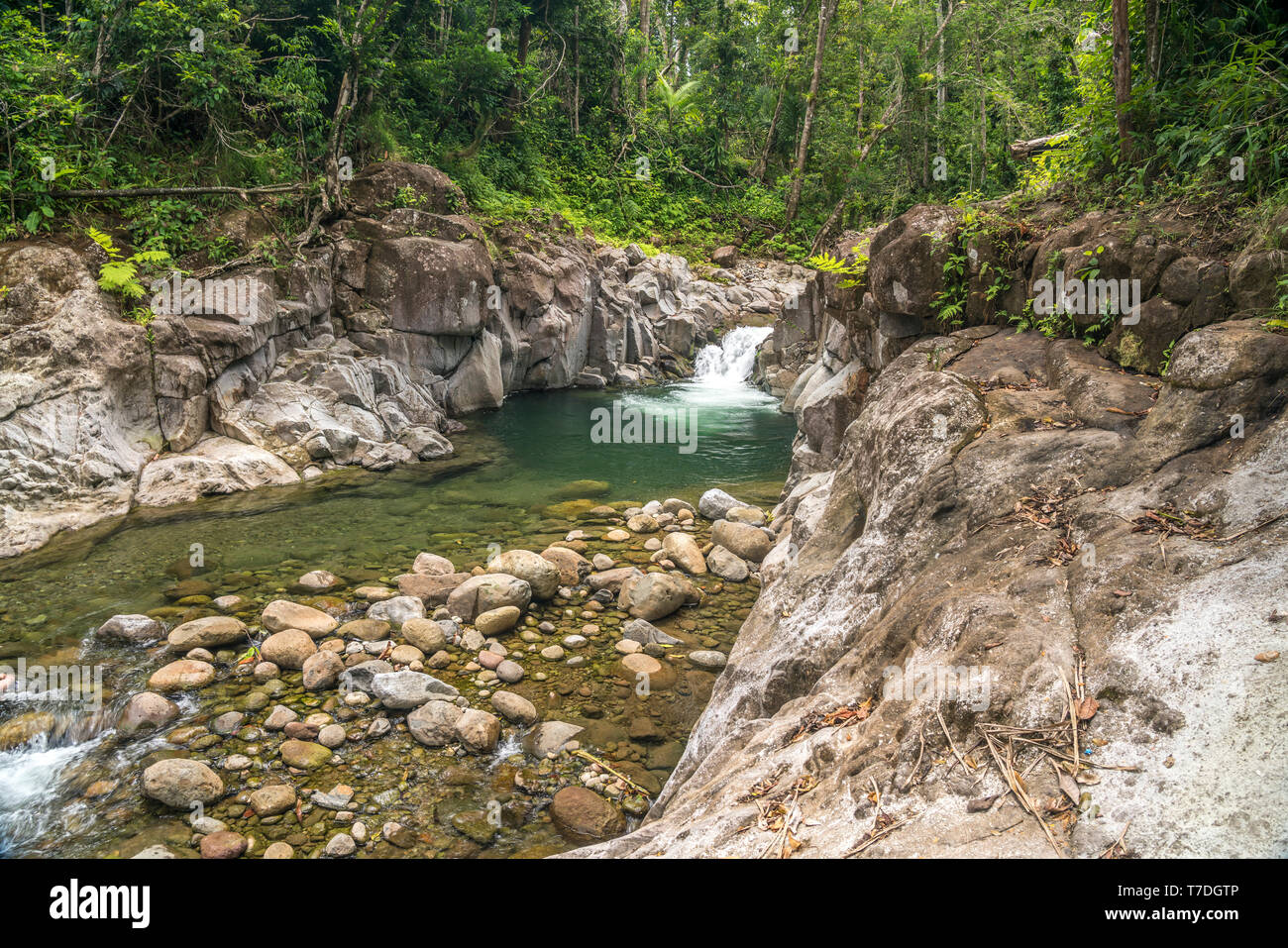 Chaudiere Falls und Pool am Hampstead River, Dominica, Karibik, Mittelamerika | Chaudiere Falls y piscina en Hampstead, Dominica, Río Caribe, cen Foto de stock