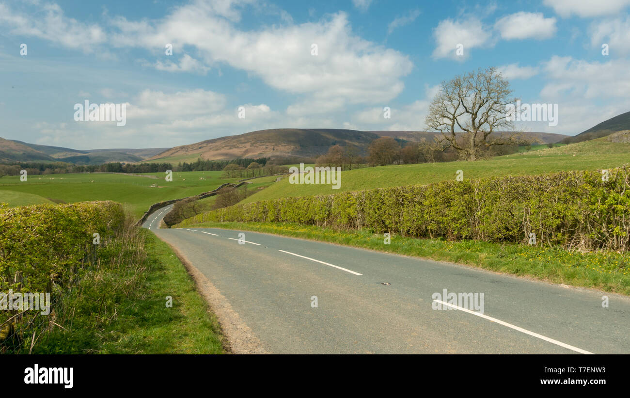 Vista panorámica del pintoresco paisaje en la B6478 country road entre Newton en Bowland y Dunsop Puente, Bosque de Bowland Foto de stock