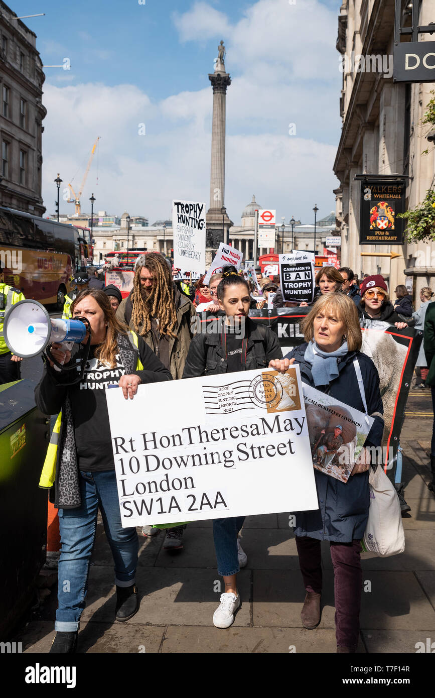 El London marcha en contra de la caza de trofeos y la extinción se reunieron en Cavendish Square y marcharon por el centro de Londres a Downing Street. Foto de stock
