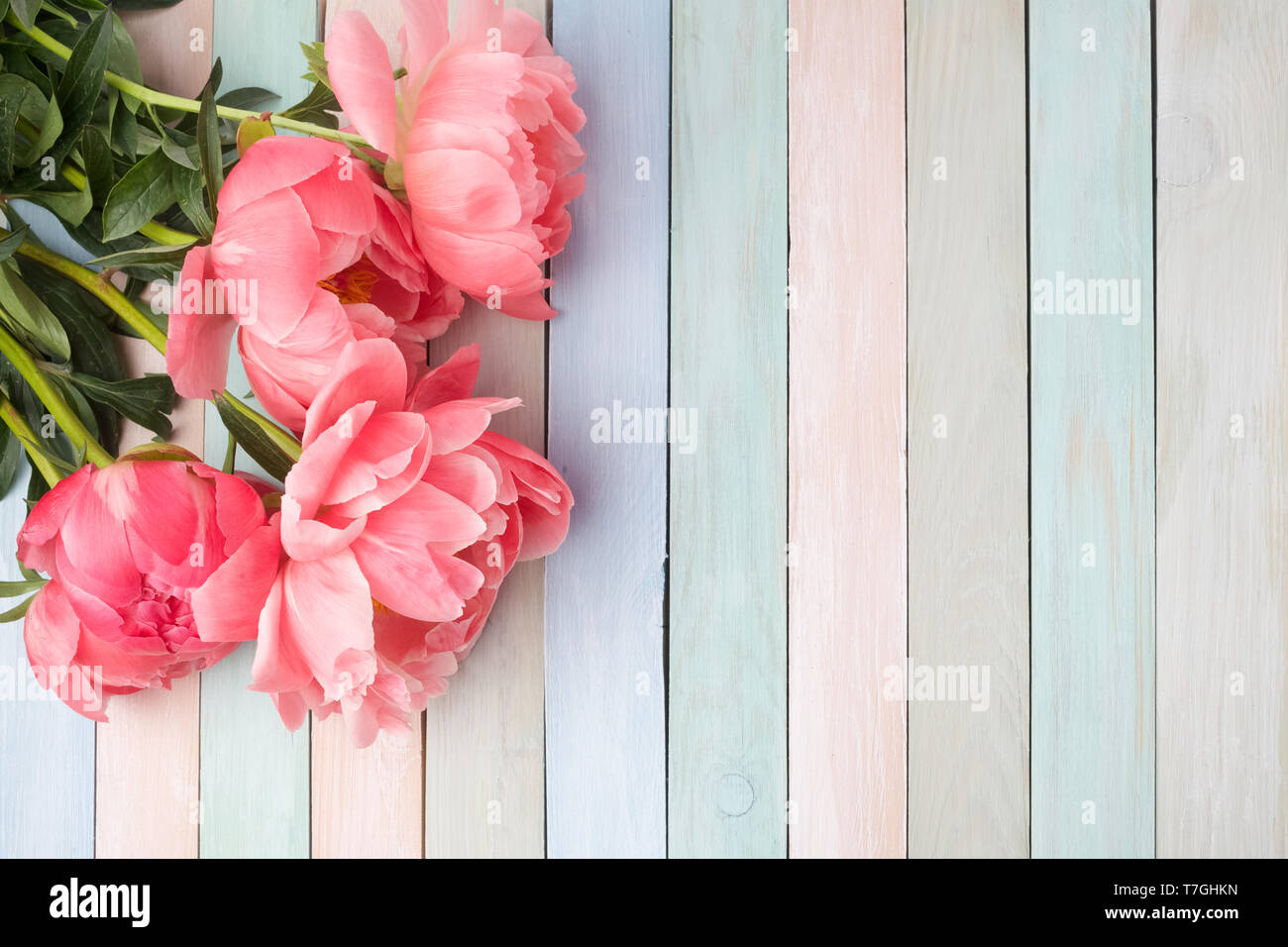 Rosa peonía flores en colores pastl mesa de madera. El día de la madre o de la boda de fondo con espacio de copia. Sentar planas. Vista superior Foto de stock