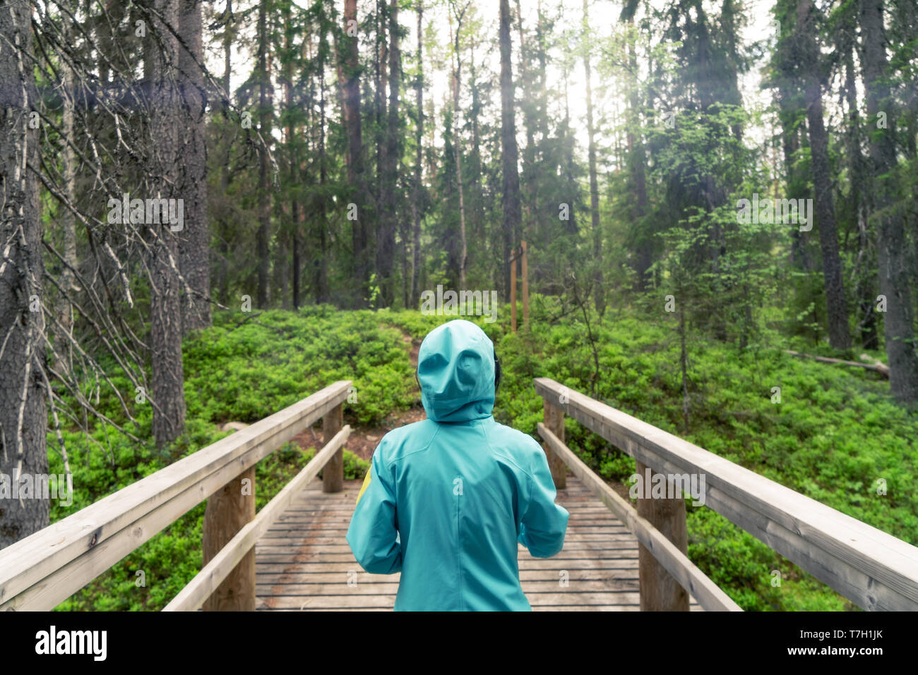 Mujer joven caminando en el bosque boreal visto desde detrás de ella. Foto de stock