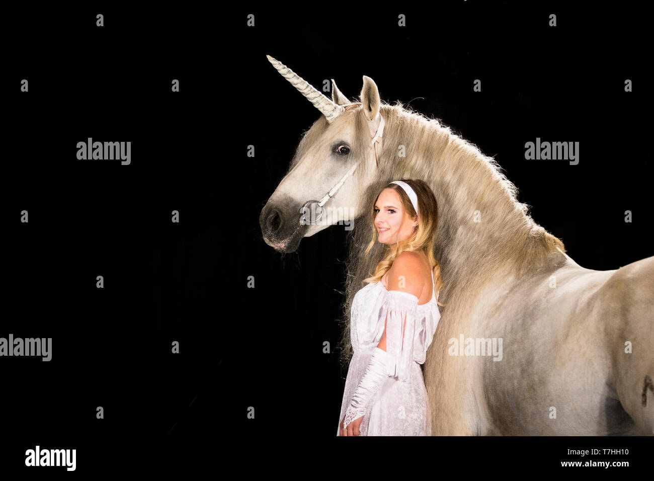 Mujer joven (virgen), hadas de pie junto a unicornio (Puro Caballo Español con bocina adjunta). Alemania Foto de stock