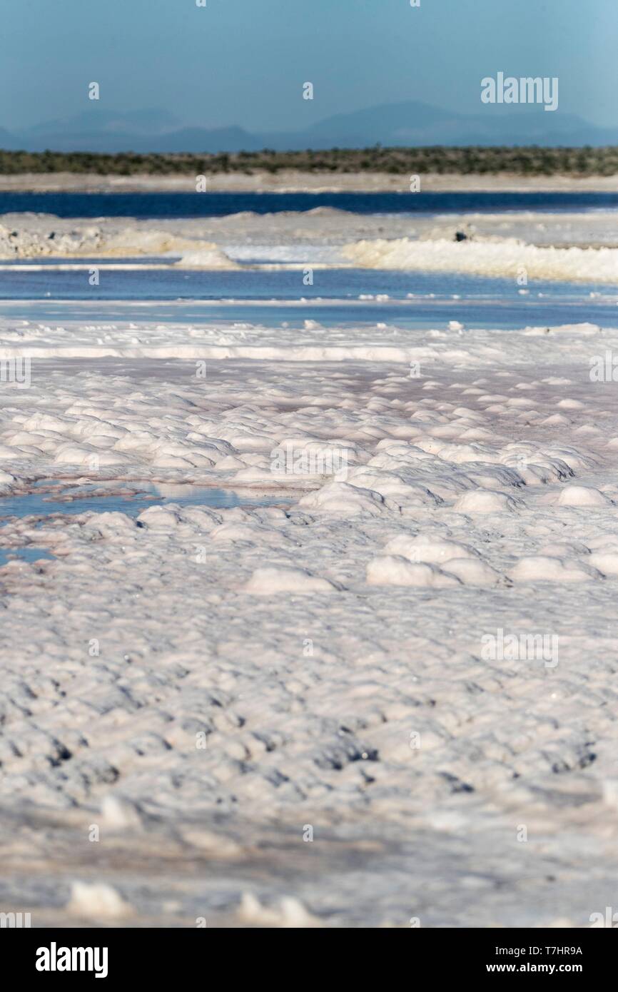 México, Baja California Sur, Guerrero Negro, Laguna Ojo de Liebre