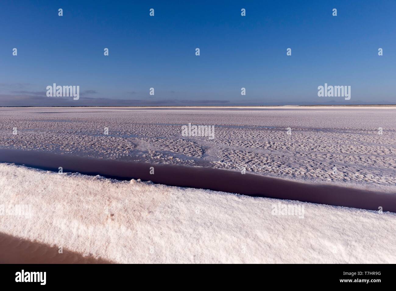 México, Baja California Sur, Guerrero Negro, Laguna Ojo de Liebre
