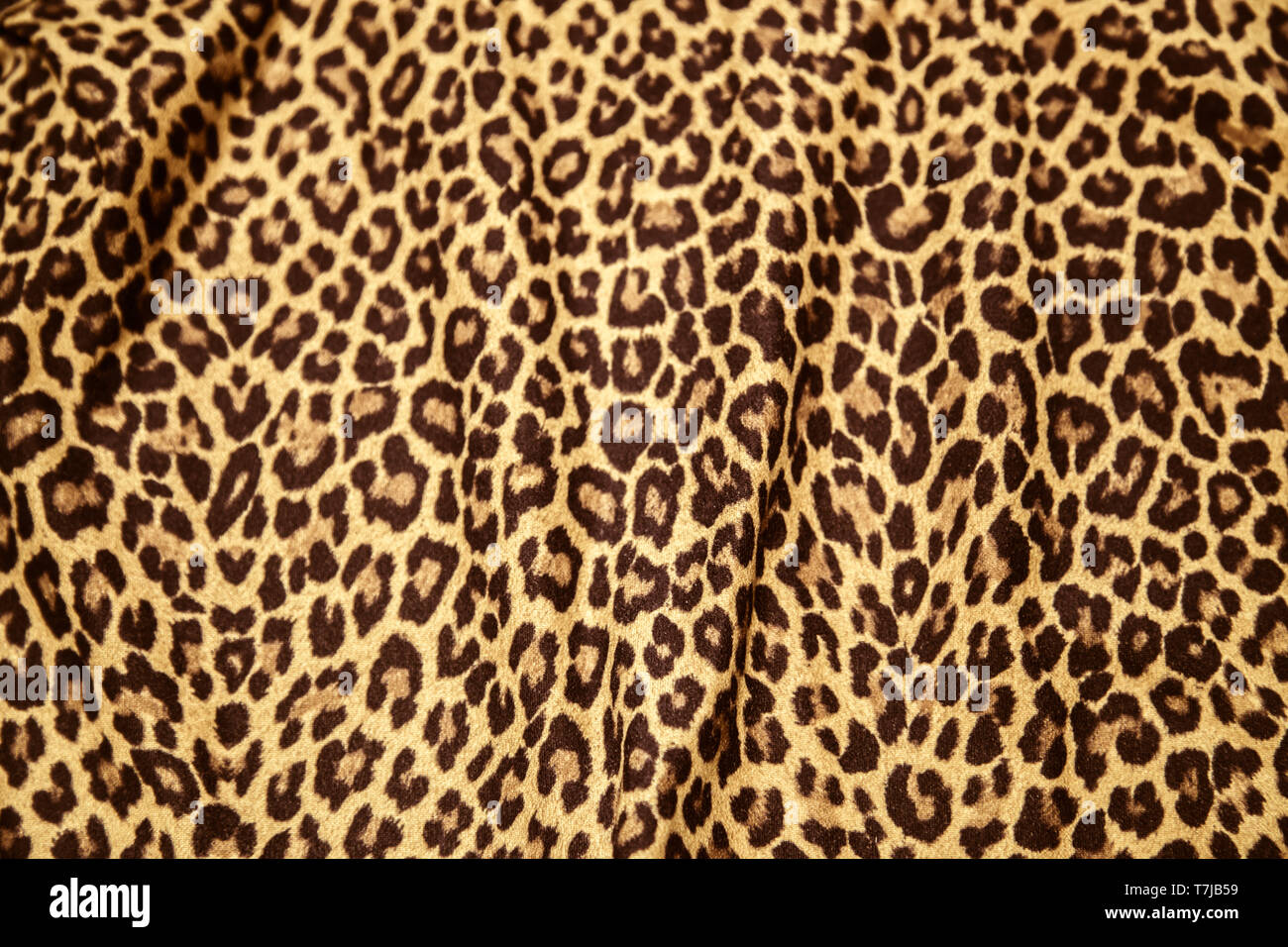 Imprimir imagen de Leopard Leopard imprimir imagen patrón de tela de textura. Foto de stock