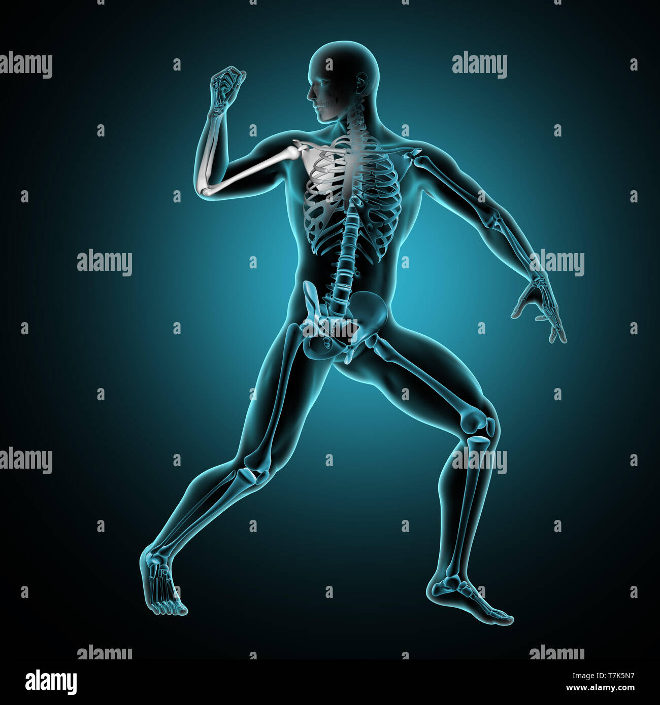 3D Render de un macho figura de médico con el brazo levantado y huesos del brazo resaltado Foto de stock