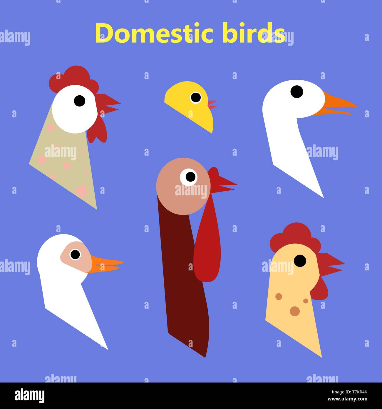 Conjunto de aves domésticas jefes sobre fondo de color simple. Educación para la enseñanza preescolar flashcard en kindergarten. Colorido estilo de dibujos animados plana MU Imagen Vector de stock - Alamy Conjunto de aves domésticas jefes sobre fondo de color simple. Educación para la enseñanza preescolar flashcard en kindergarten. Colorido estilo de dibujos animados plana MU Imagen Vector de stock - Alamy