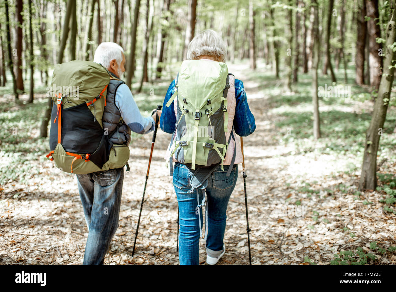 Las parejas ancianas caminatas con mochilas y bastones de trekking en la selva, vista posterior. Concepto de un estilo de vida activo sobre jubilación Foto de stock