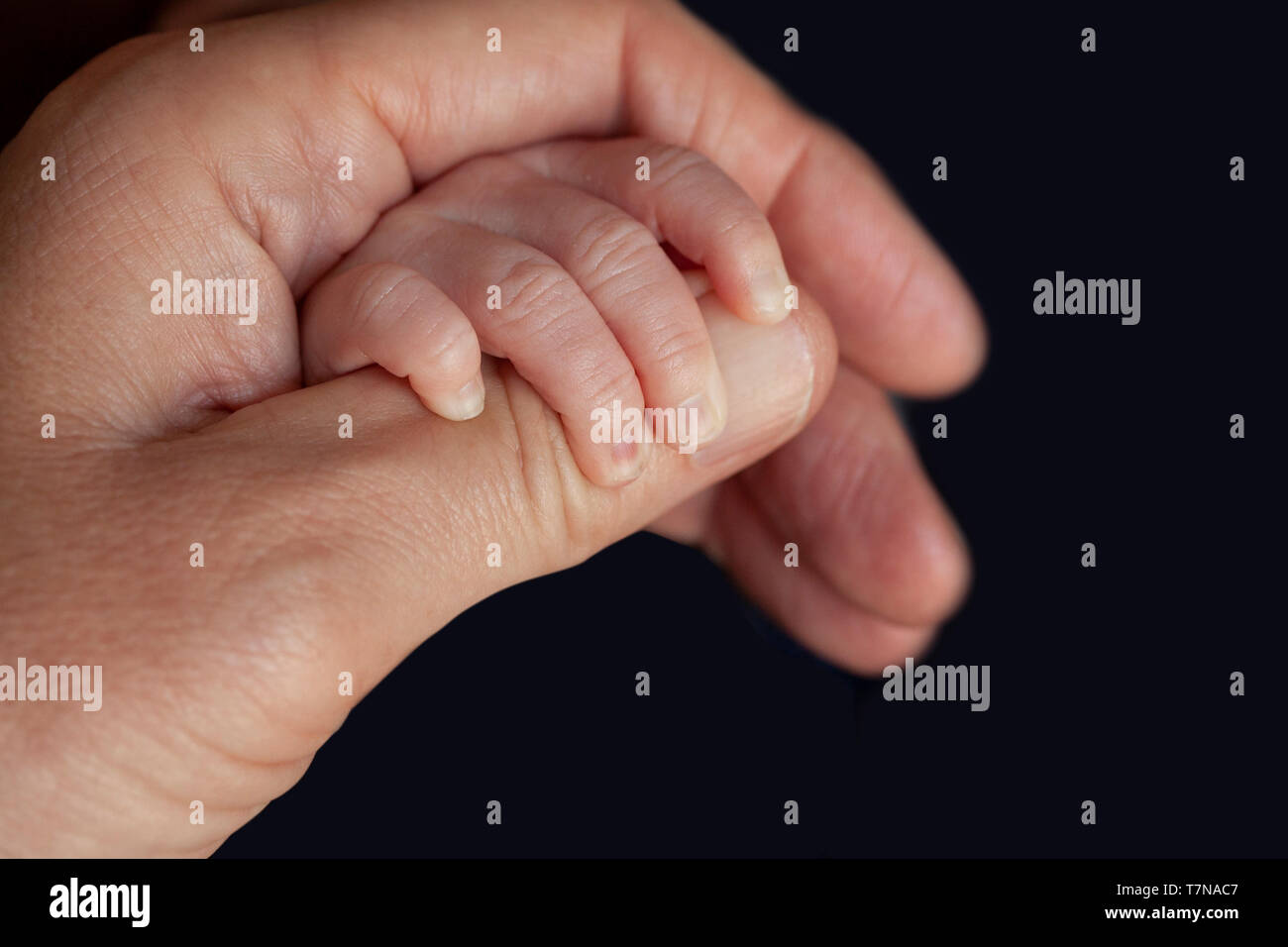Padre Sosteniendo Un Bebe Recien Nacido En Su Mano La Mano Del Nino En Manos De Padres Closeup Juntos Fotografia De Stock Alamy