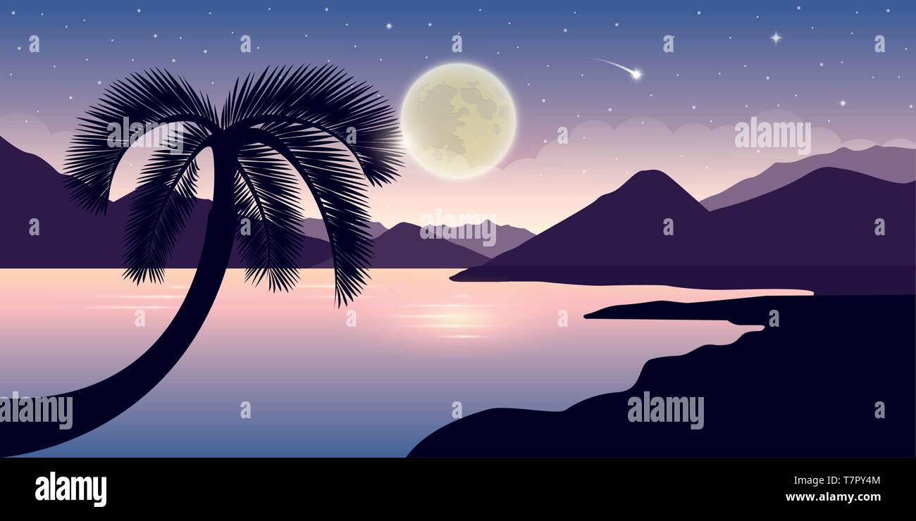 Hermoso paisaje de noche con luna llena de palmeras y cielo estrellado  ilustración vectorial EPS10 Imagen Vector de stock - Alamy