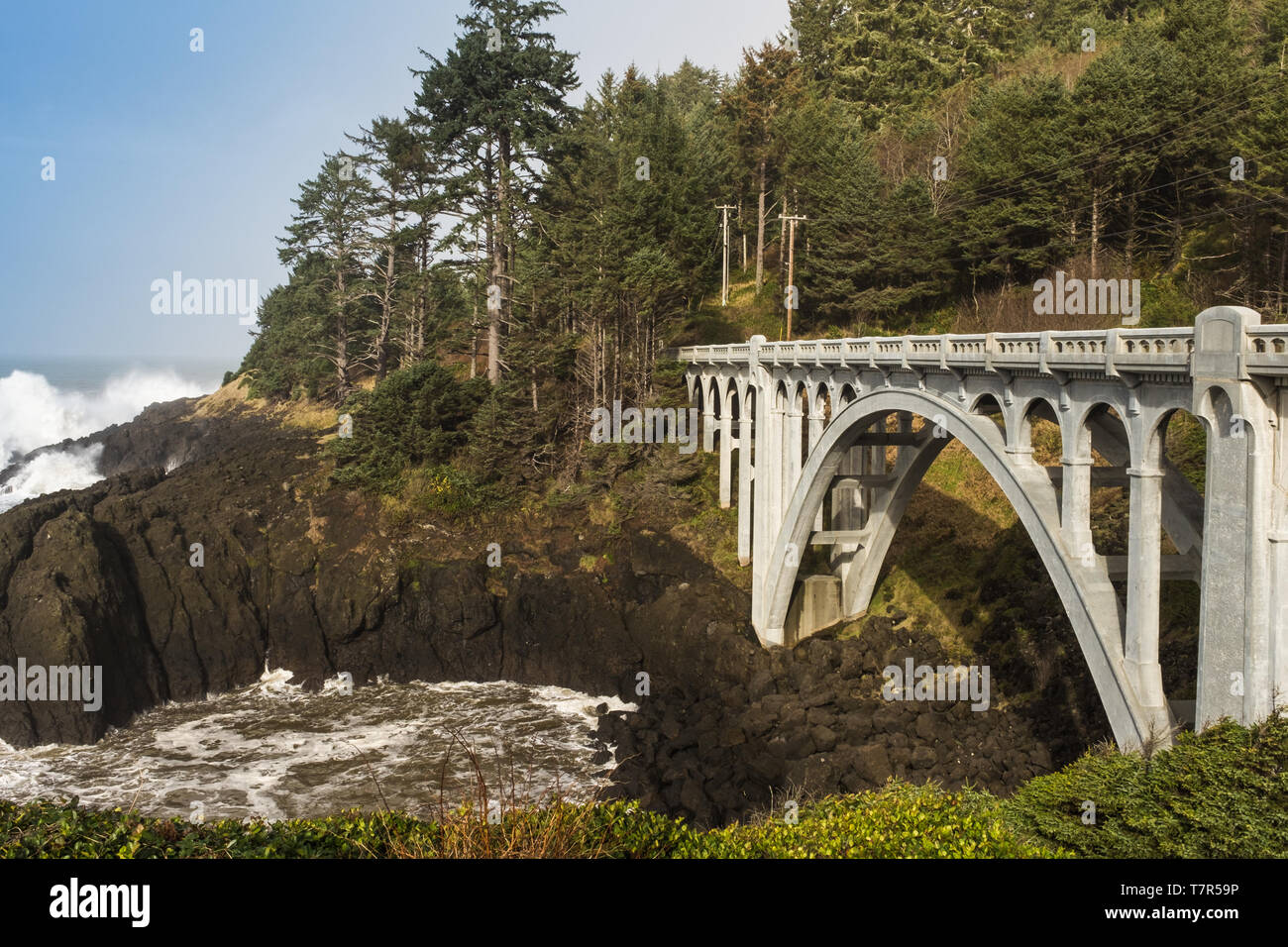 Un hermoso puente de hormigón arqueado sobre la salvaje costa de Oregon Foto de stock