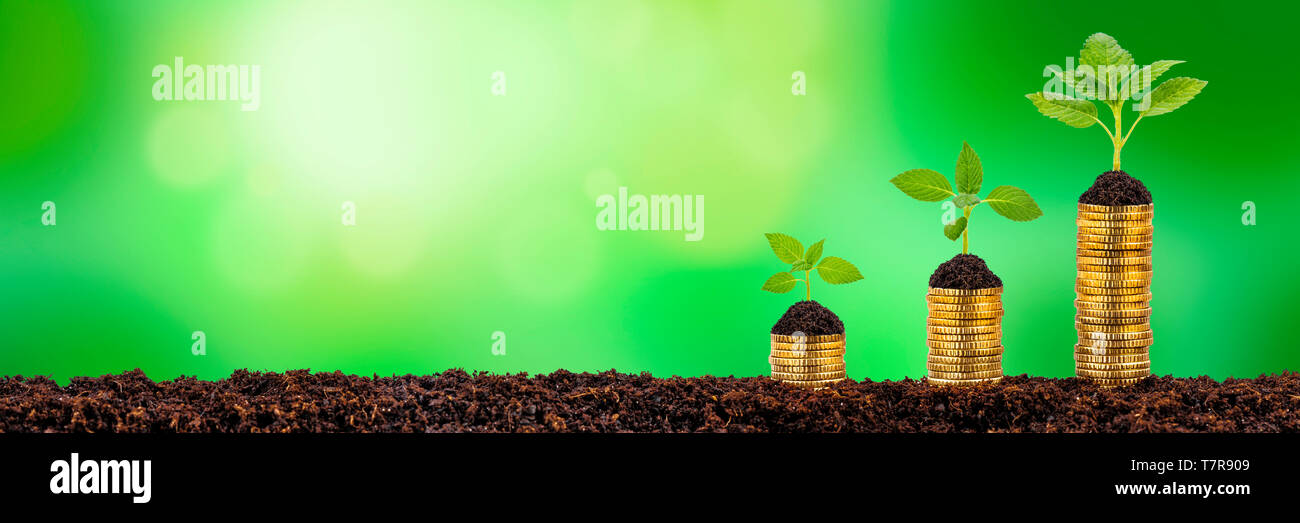 El cultivo de plantas en monedas apiladas muestra éxito financiero Foto de stock
