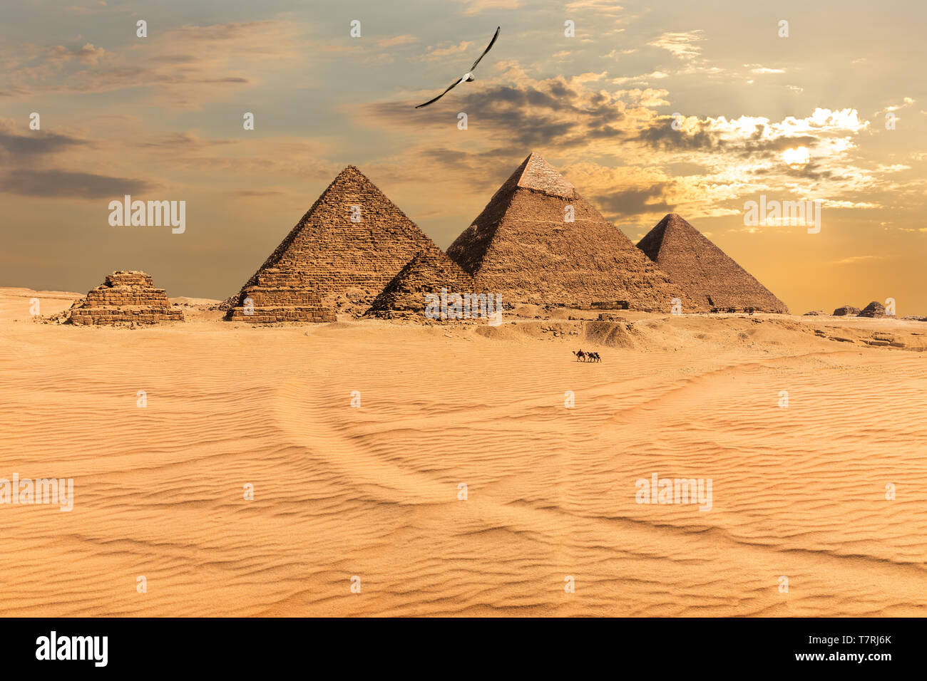 Puesta de sol sobre las pirámides de Giza, en Egipto Foto de stock
