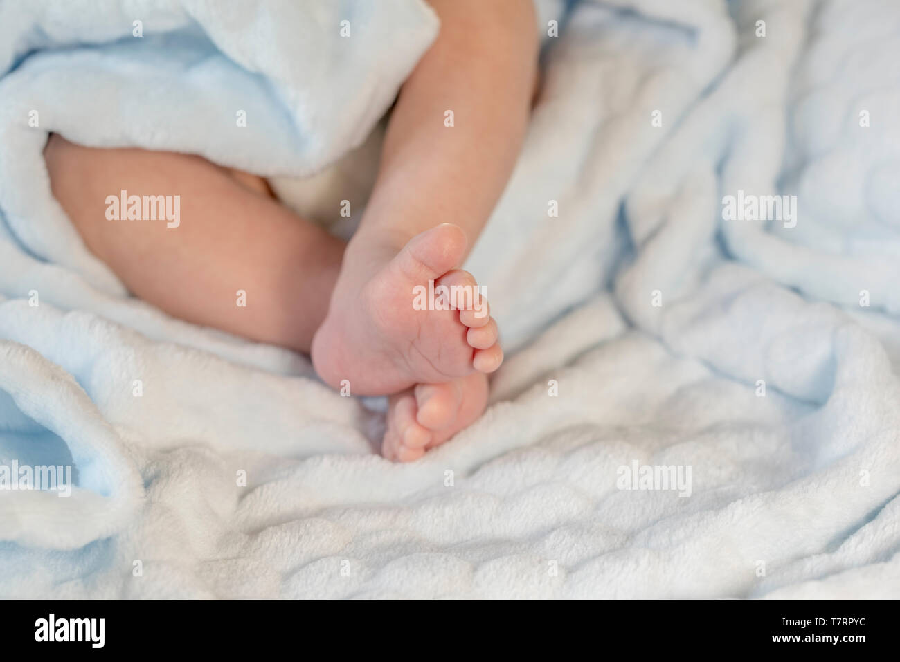 Cerca Del Bebe Recien Nacido Pies En Manta Azul Fotografia De Stock Alamy