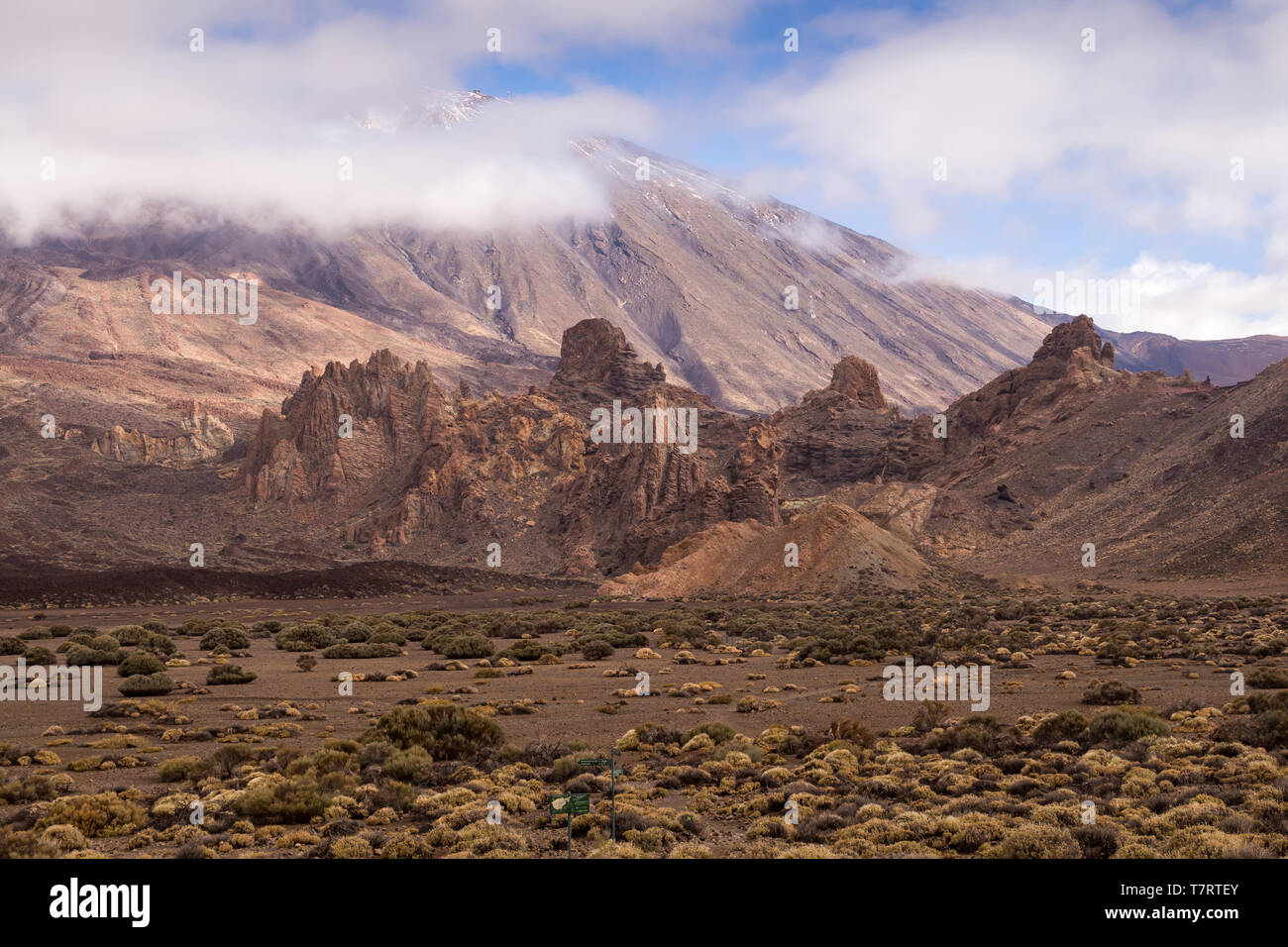 Piedras y rocas de lava alrededor del volcán cubierto por las plantas de genéricos. La parte superior del Pico del Teide, rodeado por nubes blancas. Parque Nacional del Teide, Tenerif Foto de stock