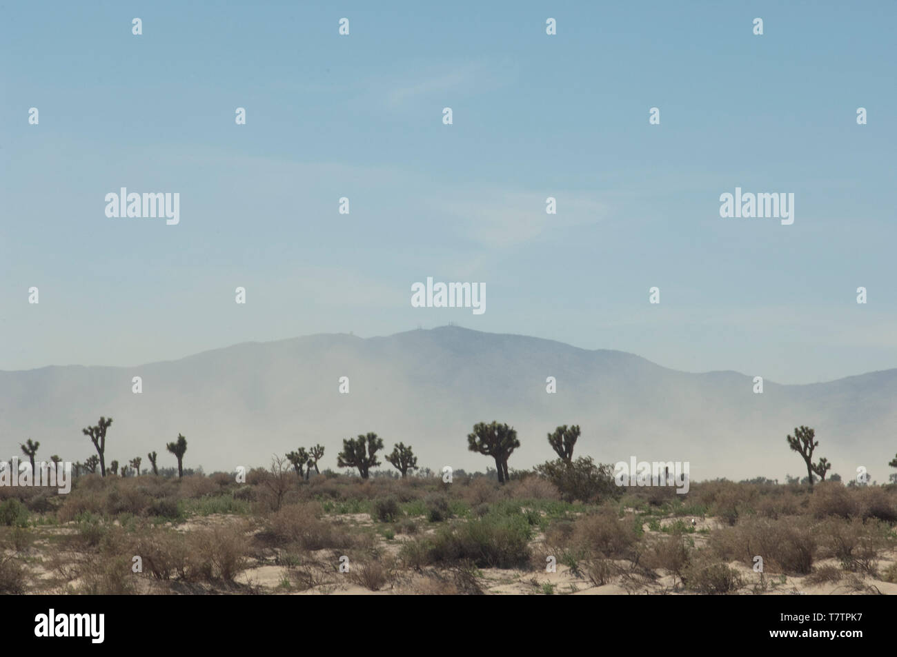 Tormenta de arena en el desierto Mohave, Antelope Valley, California. Fotografía Digital. Foto de stock