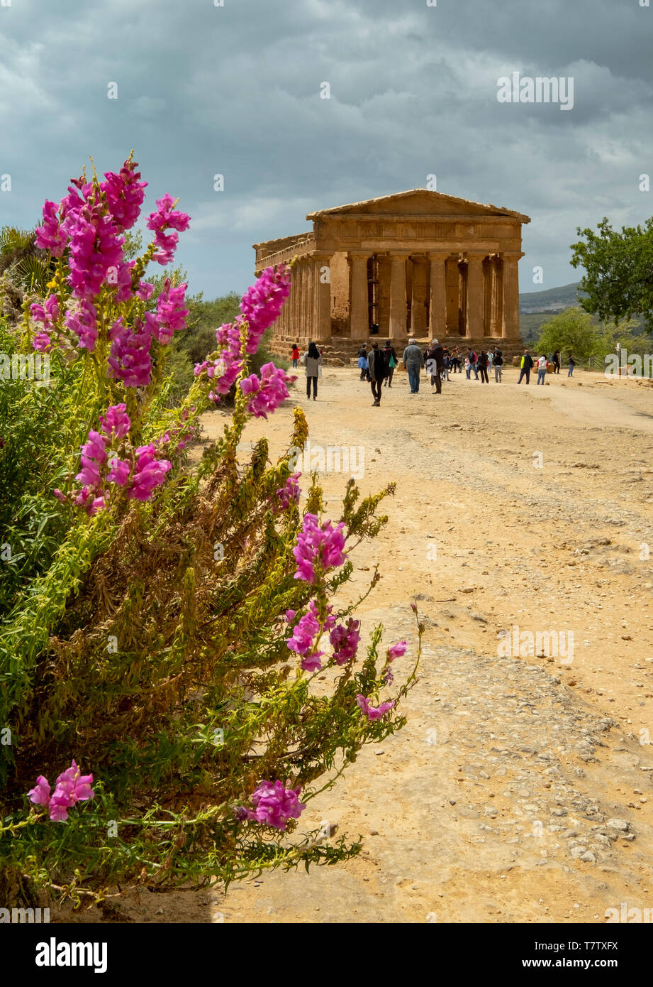 Templo de la Concordia, el Valle de los templos, Agrigento, Sicilia, Italia Foto de stock