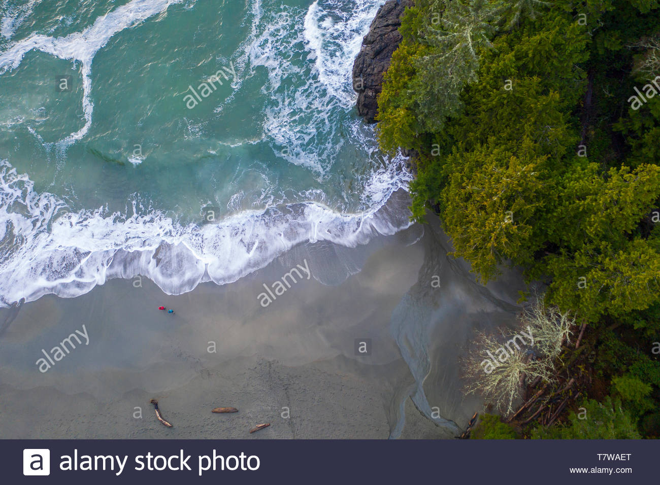 Punto de vista Drone resistente ocean beach, British Columbia, Canadá Foto de stock
