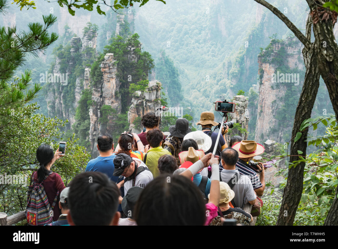 Zhangjiajie, China - 13/09/2017: Los turistas apiñados en un lugar escénico para tomar fotografías en el Parque Forestal Nacional Zhangjiajie Foto de stock