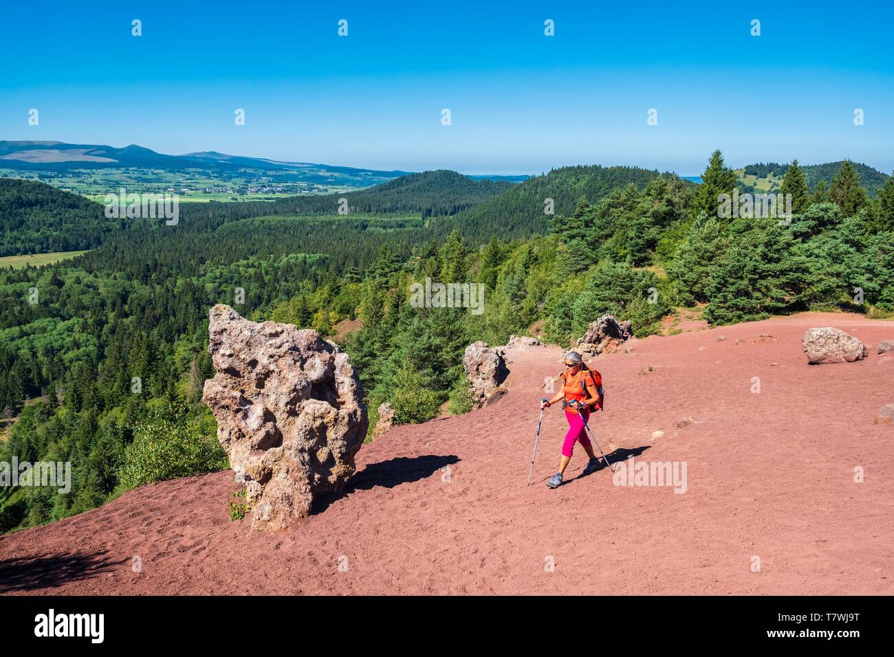 Francia, Puy-de-Dome, sitio del Patrimonio Mundial de la UNESCO, la reserva natural regional de los volcanes de Auvernia, caminata a Puy de la Vache (alt: 1167m) Foto de stock