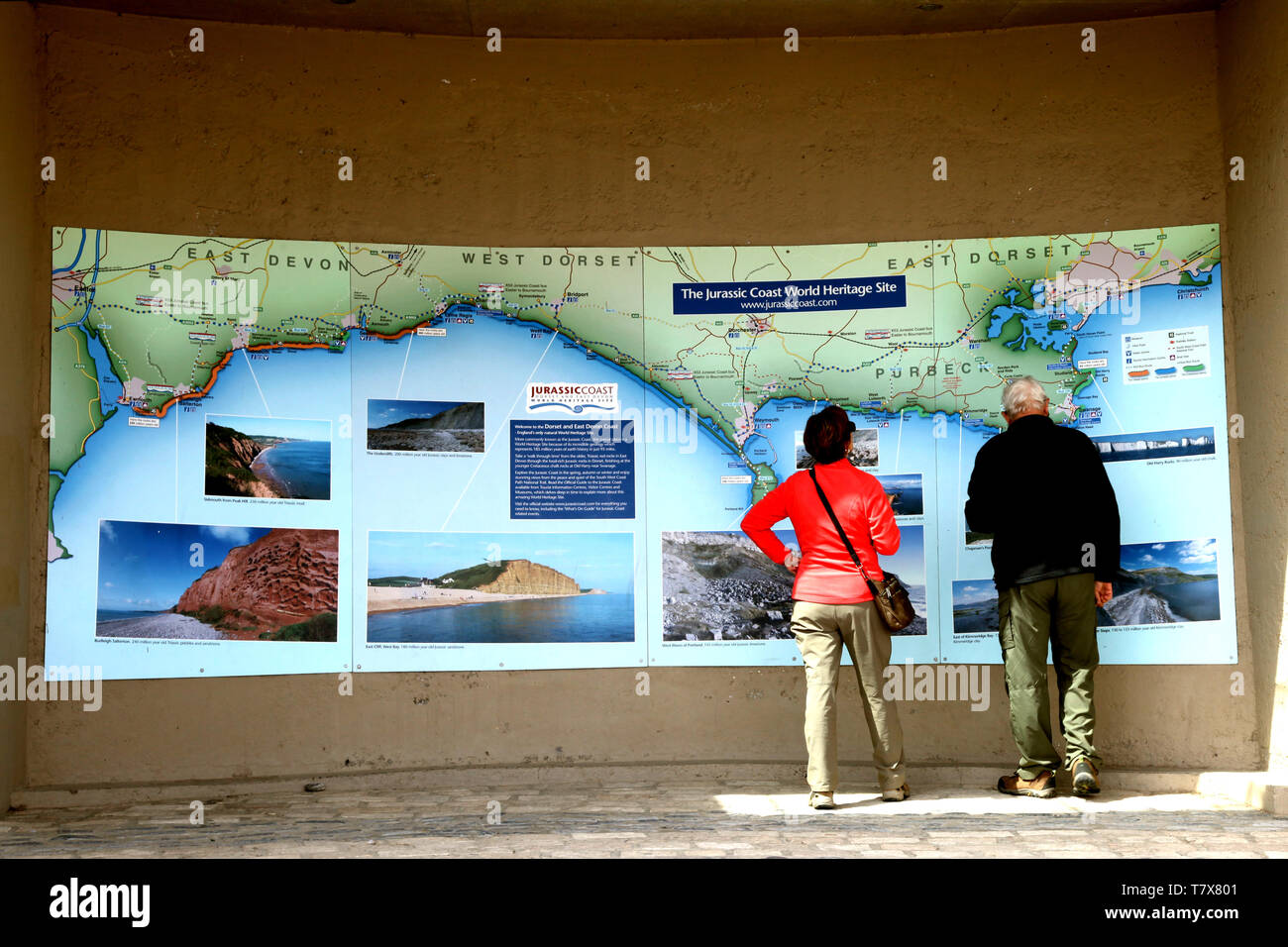 Puerto de Lyme Regis, Dorset - Ancianos turistas viendo la Costa Jurásica Mapa del sitio del Patrimonio Mundial, 2019 Foto de stock