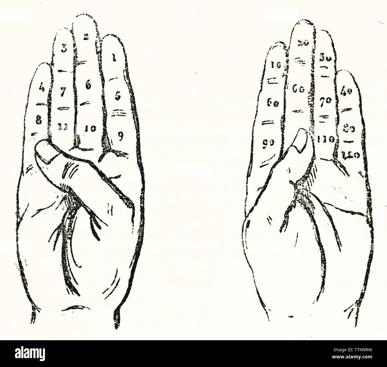 La palma de la mano izquierda y derecha con números dibujados en cada dedo. Antiguo duodecimal ilustración acerca de cálculo en los dedos. Elementos aislados sobre fondo blanco. El Magasin pintoresco París 1848 Foto de stock