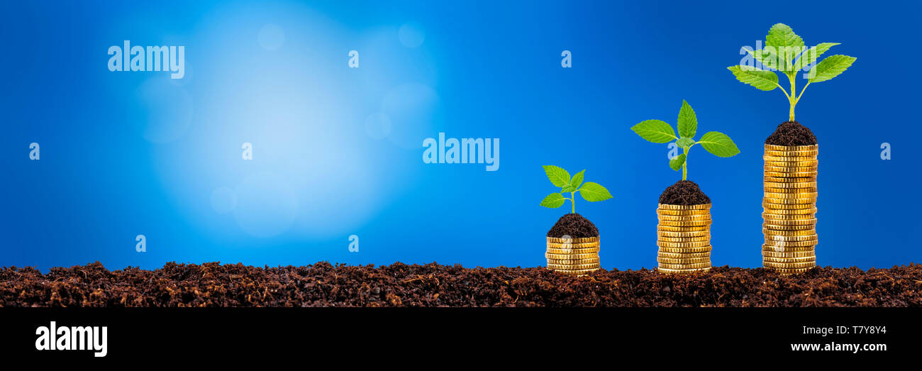 El cultivo de plantas en monedas apiladas muestra éxito financiero Foto de stock